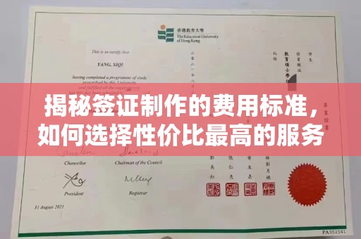 乐东揭秘签证制作的费用标准，如何选择性价比最高的服务？